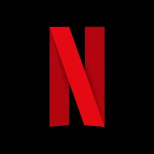 Netflix Premium Subscription