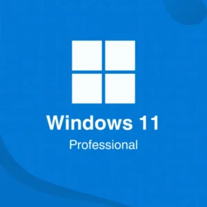 Windows 11 Professional License key